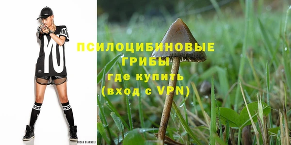 ПСИЛОЦИБИНОВЫЕ ГРИБЫ Надым