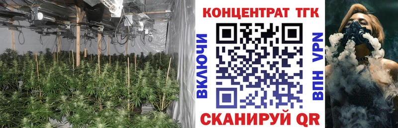 mega   Протвино  ТГК THC oil  как найти  