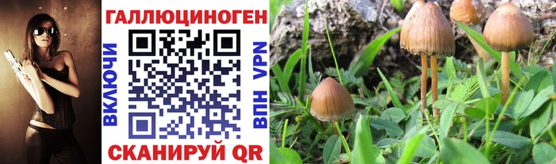 хочу наркоту  Протвино  Галлюциногенные грибы ЛСД 
