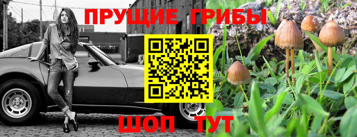Псилоцибиновые грибы ЛСД Протвино
