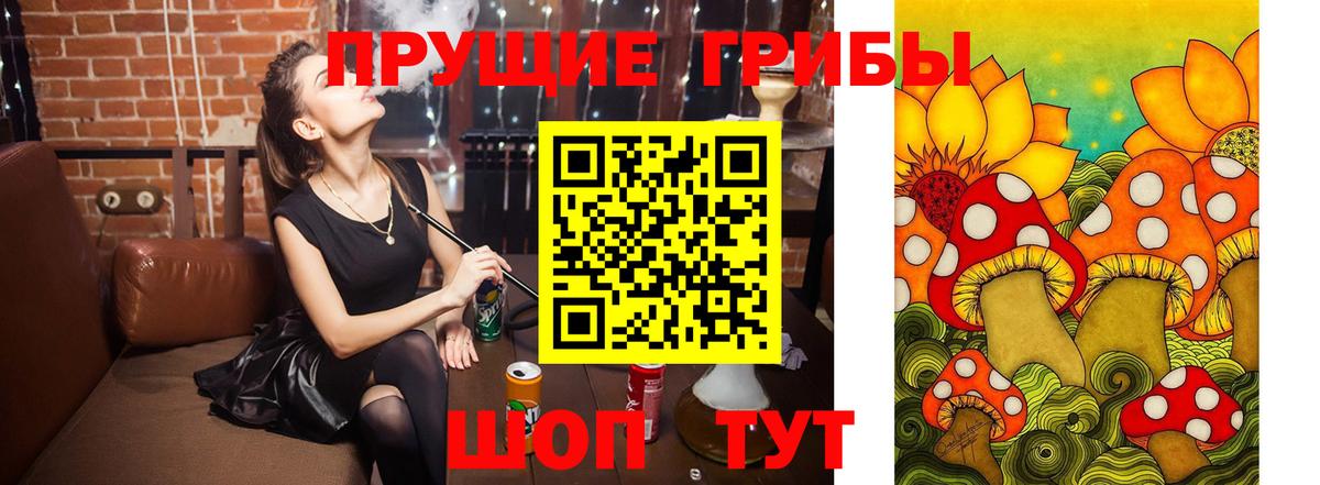 Протвино  закладка  Вход с VPN  Псилоцибиновые грибы Cubensis 